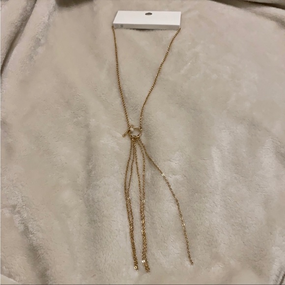 Forever 21 Long Necklace - Picture 2 of 4